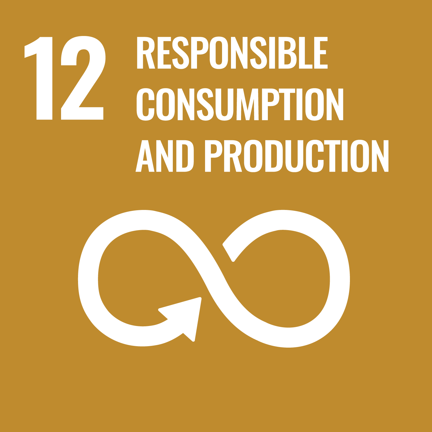 SDG 12, responsible consumption and production