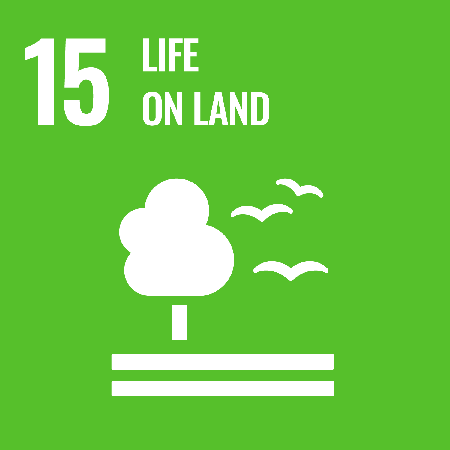 SDG 15, Life on land